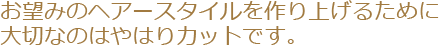 お望みのヘアースタイルを作り上げるために