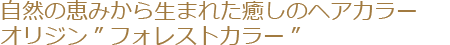 自然の恵みから生まれた癒しのヘアカラー、オリジン”フォレストカラー”。